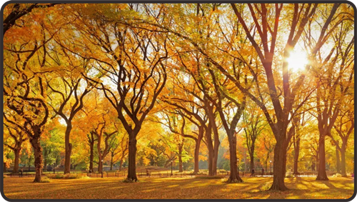 有哪些原因会影响广告机的价格？